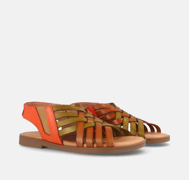 AMAPOLA COMBI AVELLANA-0