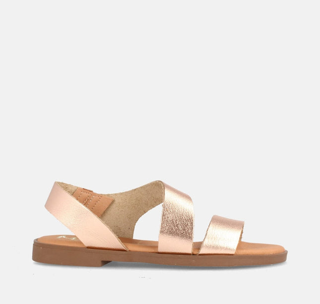 WINDA GRAIN SALMON-0