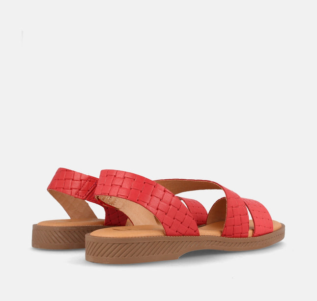 ASH TRENZ. ROJO-2