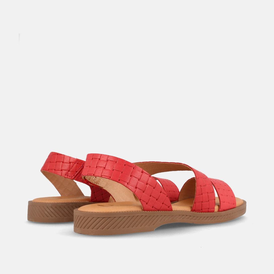 ASH TRENZ. ROJO-2