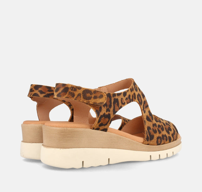 ALLEN LEOPARDO-2
