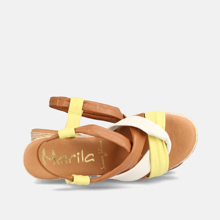 CLARABELLA AMARILLO-2