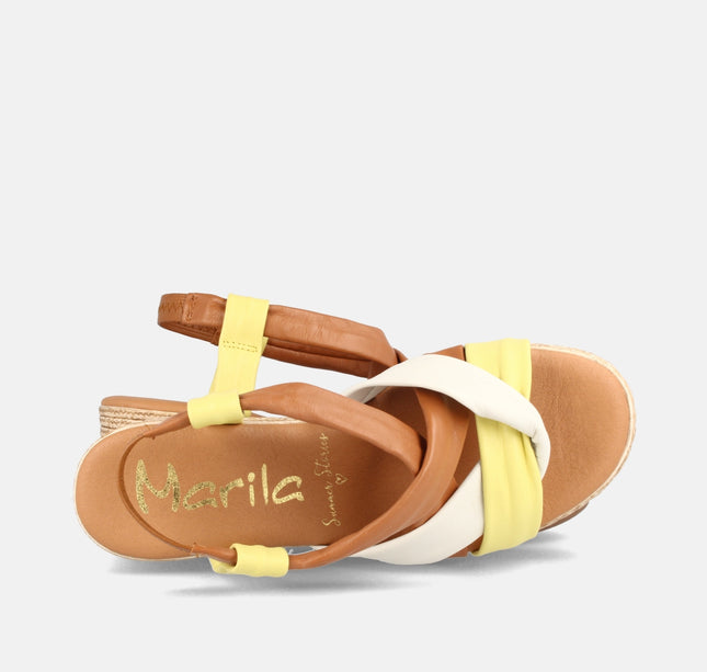 CLARABELLA AMARILLO-2