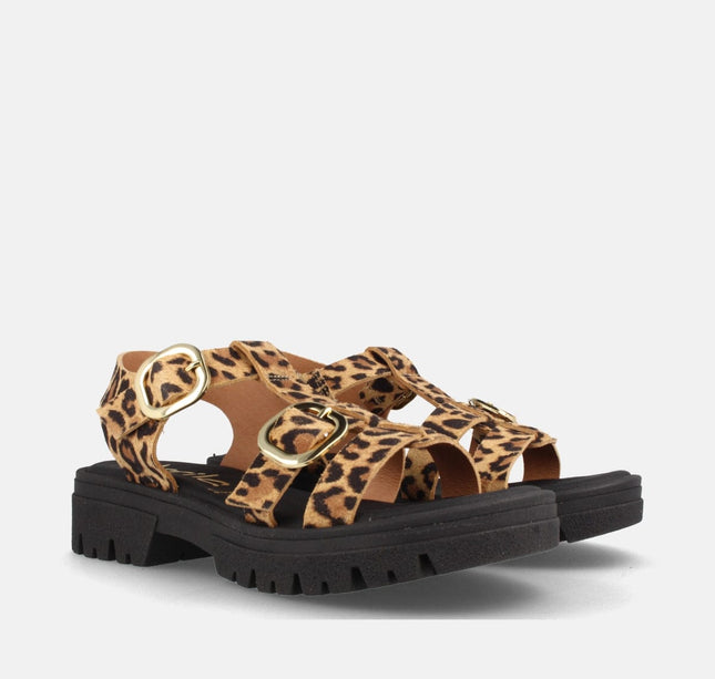 DELTA SERR. LEOPARDO-1