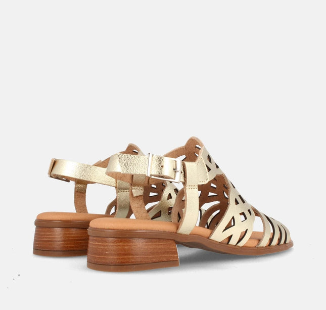 EVEREST GRAIN CHAMPAN-2