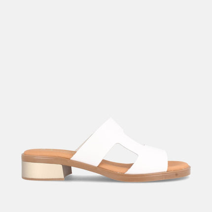 PON BLANCO-0