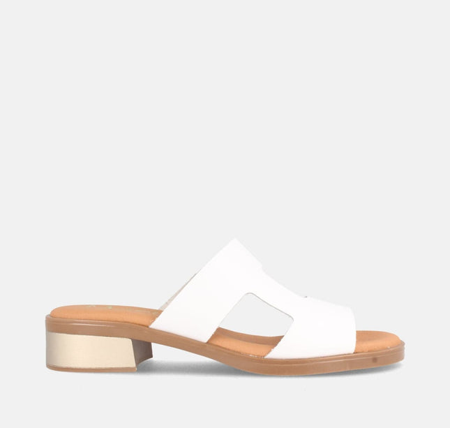 PON BLANCO-0