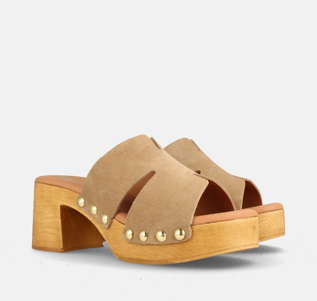 CHICAGO SERR. MUSHROOM-1