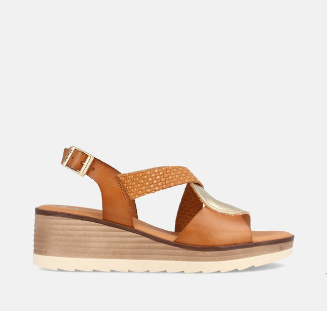 AKRON COMBI AVELLANA/LILIAN TOAST-0
