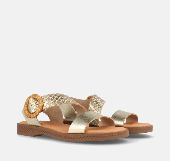 AMSTER PLATINO/GRAB. 99-54-1