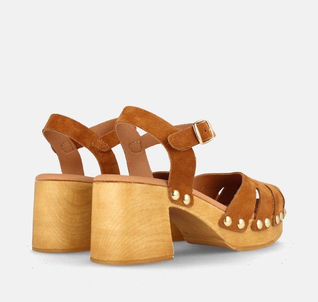 HOUSTON SERR. SETTER-2