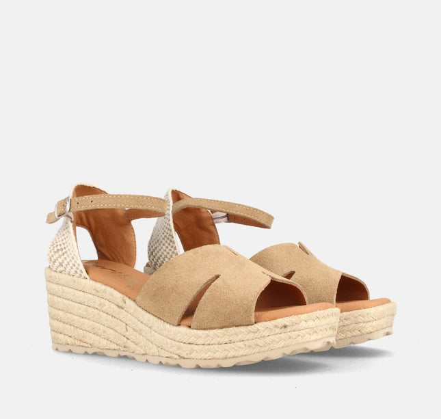 BOSTON SERR. MUSHROOM-1