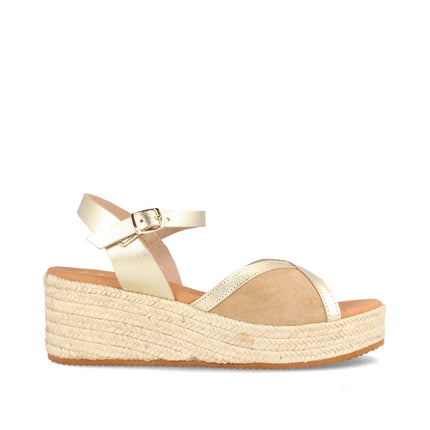 COLUMBIA SERR. ARENA/LAM. CHAMPAN-4