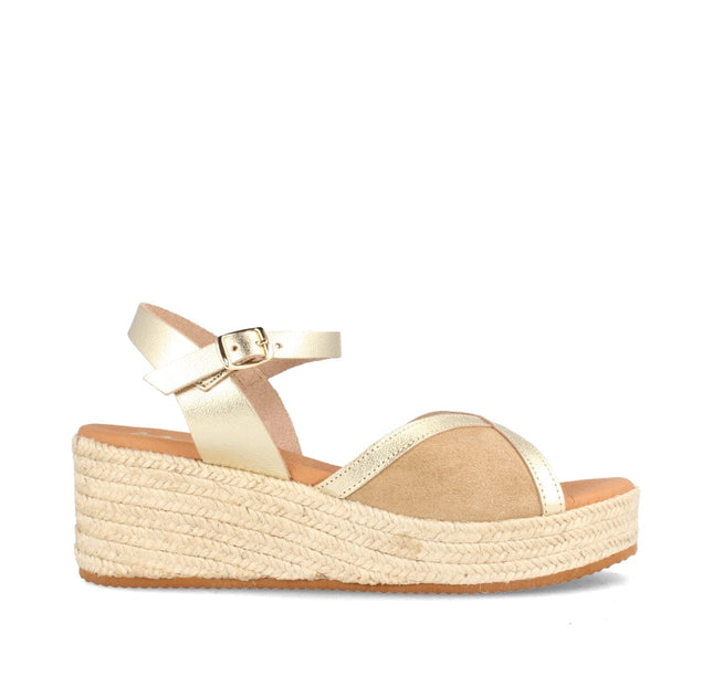 COLUMBIA SERR. ARENA/LAM. CHAMPAN-4