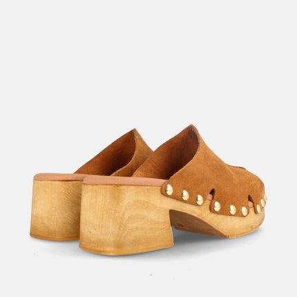 MOVA SERR. SETTER-2