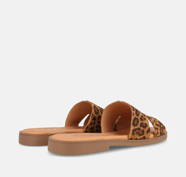 ANGELA LEOPARDO-3