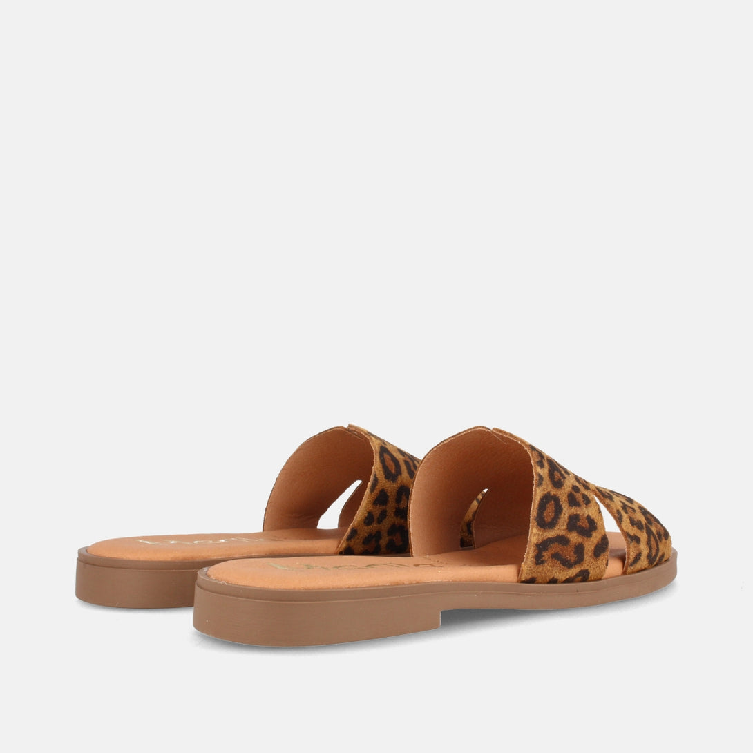 ANGELA LEOPARDO-3