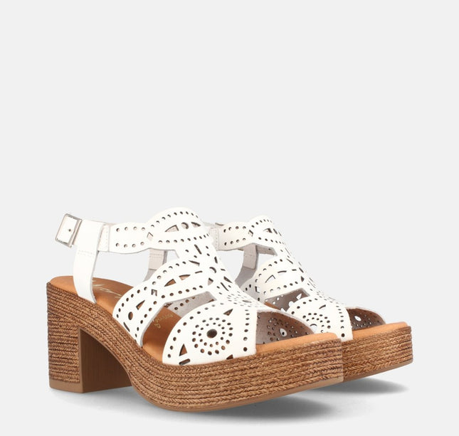 BEGA BLANCO-2