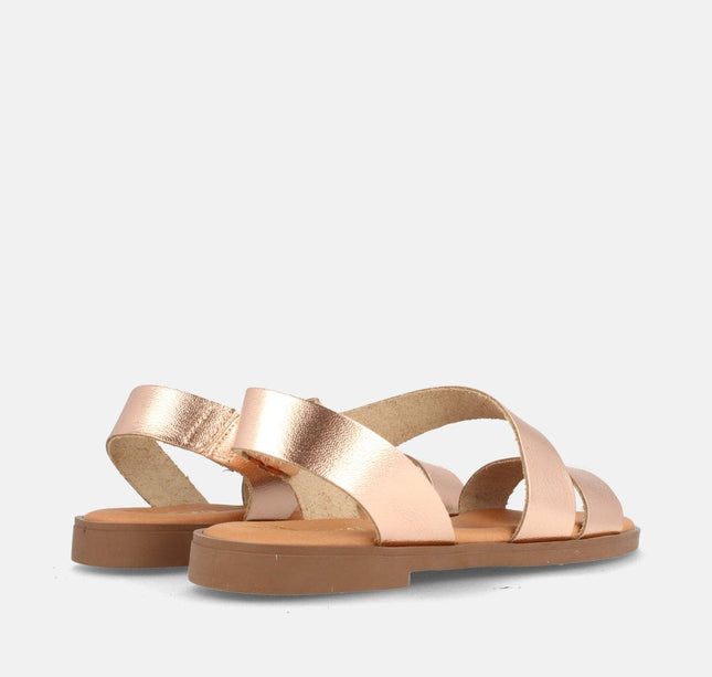 WINDA GRAIN SALMON-2