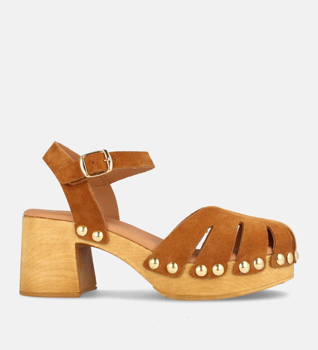 HOUSTON SERR. SETTER-0