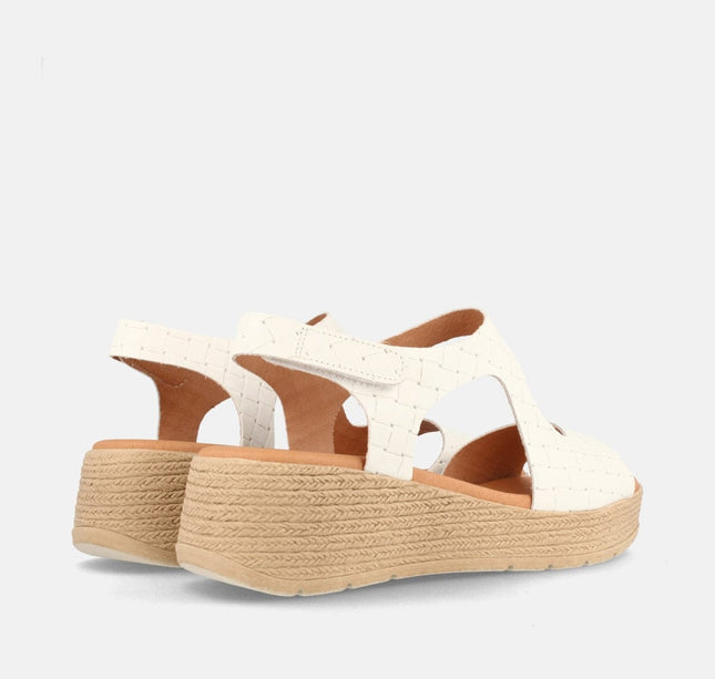 DUSANBE TRENZ. BLANCO-2