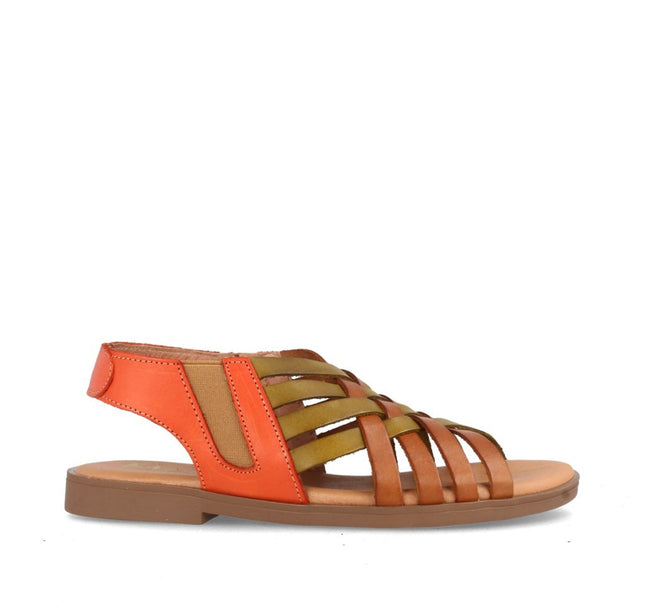 AMAPOLA COMBI AVELLANA-2