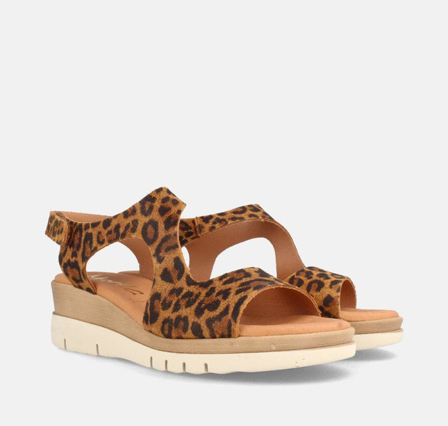 ALLEN LEOPARDO-2