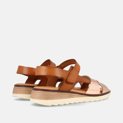 VENTURA GRAIN SALMON/AVELLANA-2