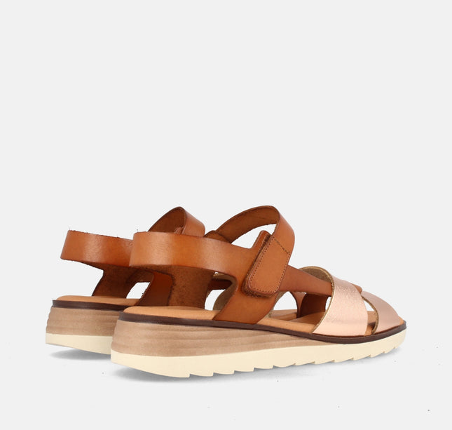VENTURA GRAIN SALMON/AVELLANA-2