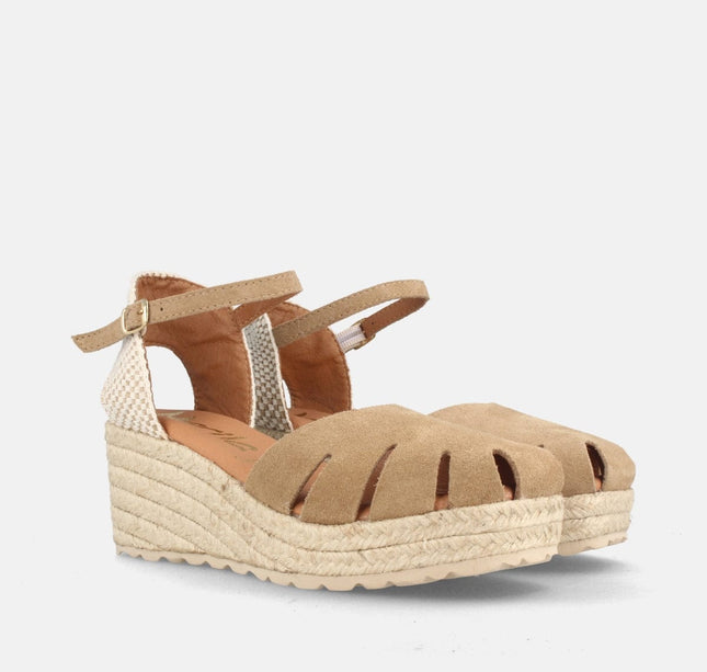 SEATTLE SERR. MUSHROOM-1