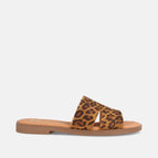 35 / LEOPARDO