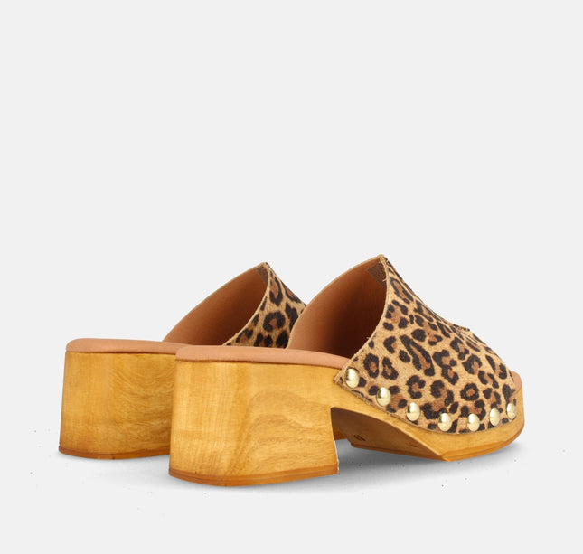 DARIA LEOPARDO-2