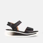 36 / OXFORD BLACK