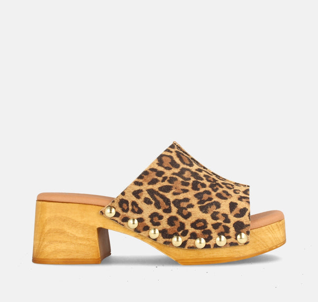 DARIA LEOPARDO-0