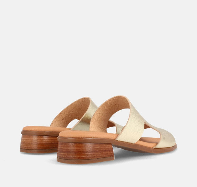 FARGO GRAIN CHAMPAN-2