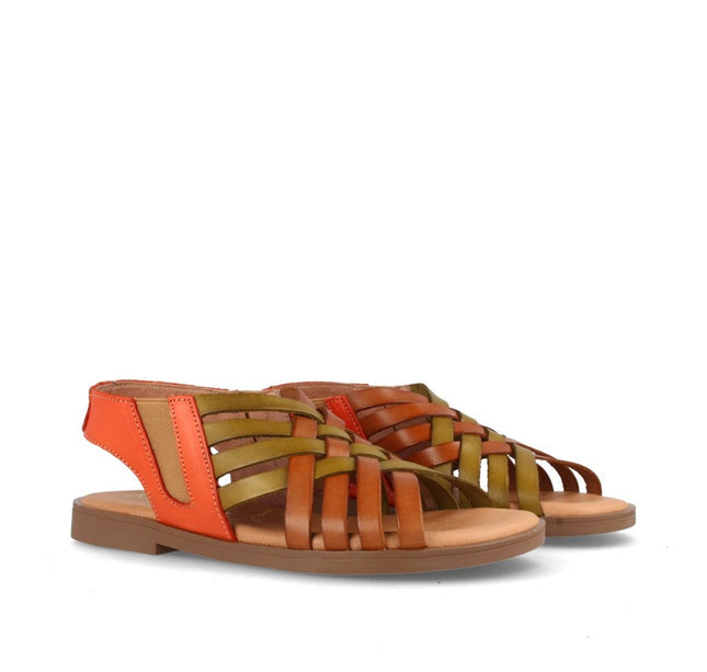 AMAPOLA COMBI AVELLANA-3