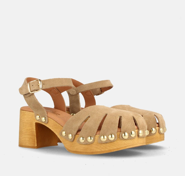 HOUSTON SERR. MUSHROOM-1