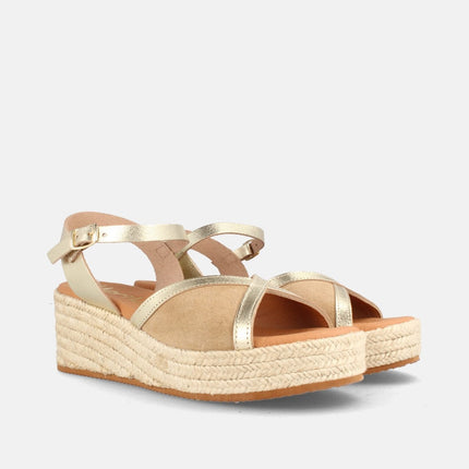 COLUMBIA SERR. ARENA/LAM. CHAMPAN-2