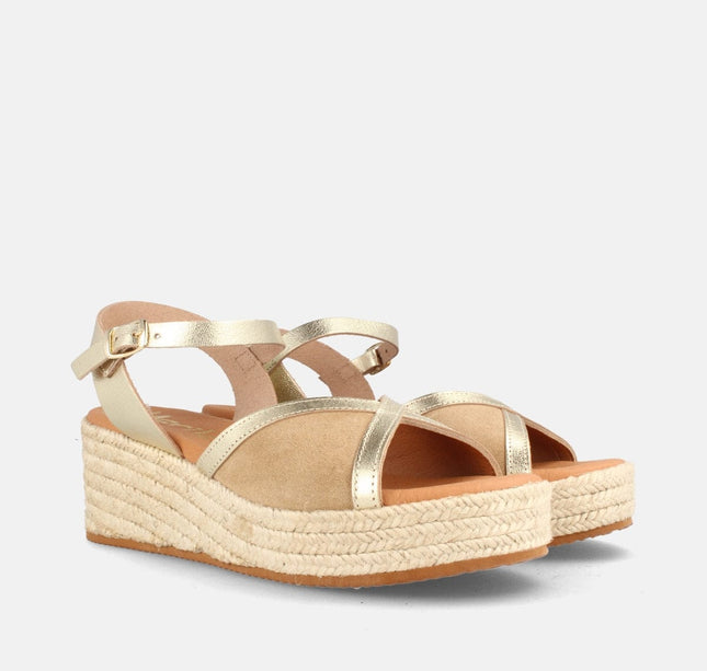 COLUMBIA SERR. ARENA/LAM. CHAMPAN-2