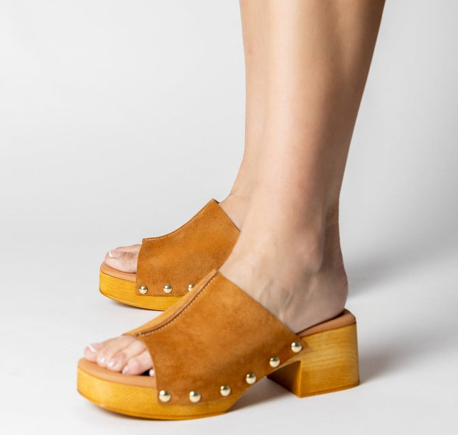 DARIA SERR. SETTER-1