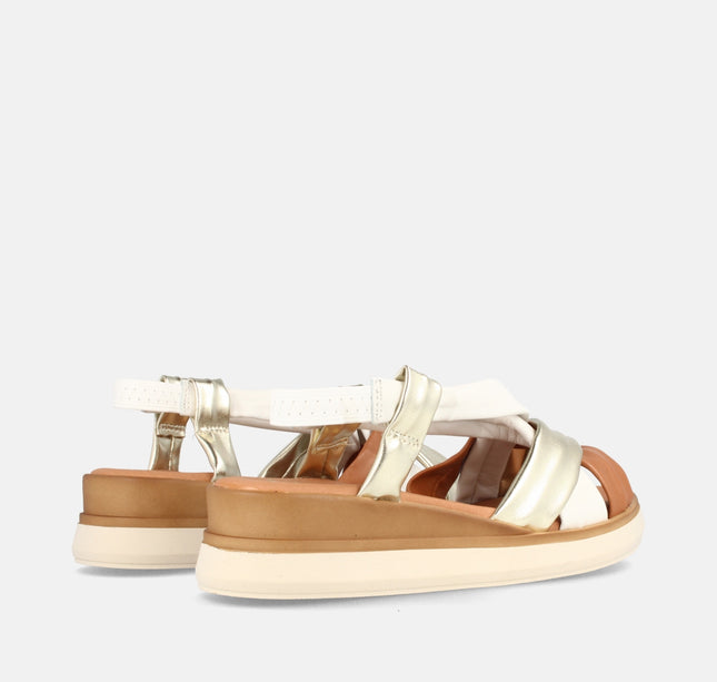 NORMA Combi1-2