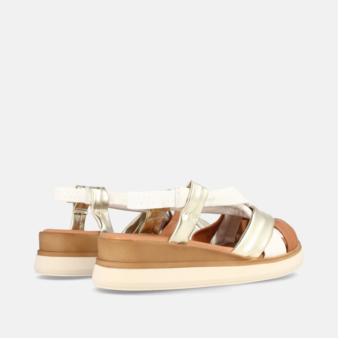NORMA Combi1-2
