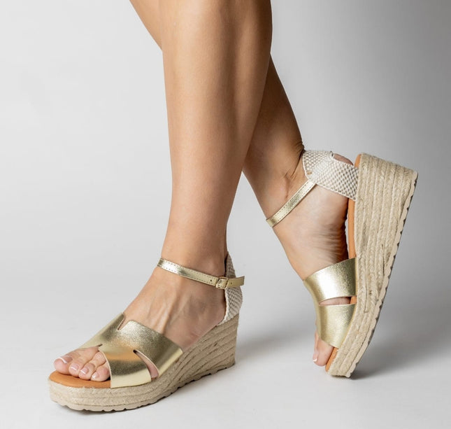 BOSTON GRAIN CHAMPAN-4