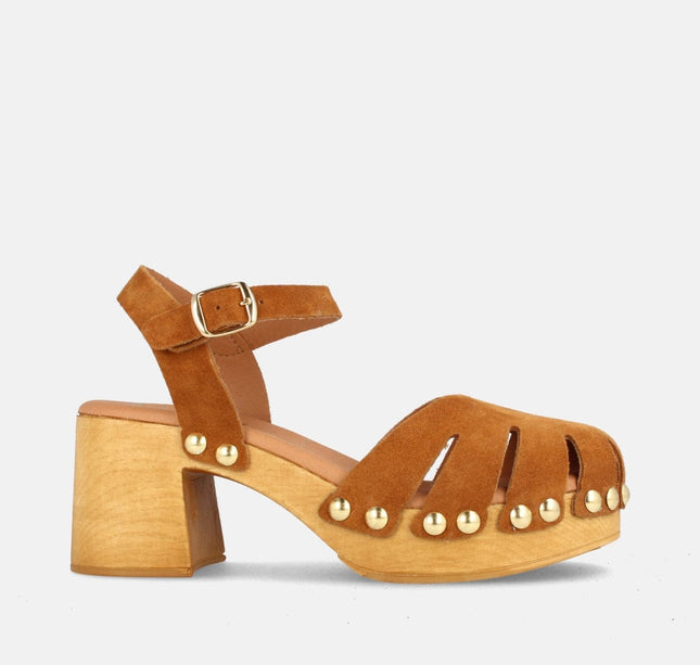 HOUSTON SERR. SETTER-0