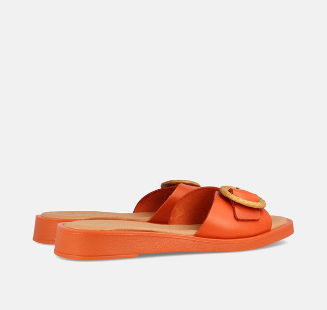 AYELEN NARANJA-4
