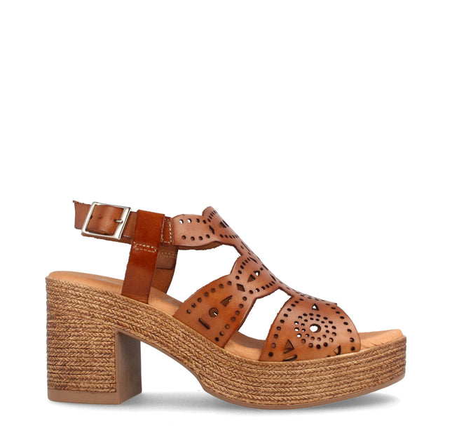 BEGA AVELLANA-1