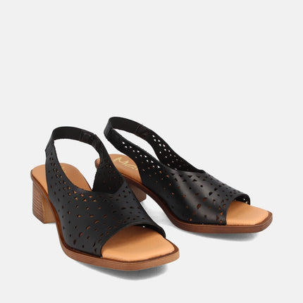 ELVIA NEGRO-1