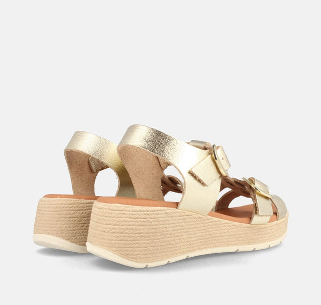 BAMBA GRAIN CHAMPAN-2