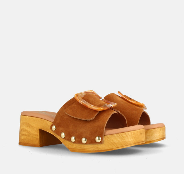 FILADELFIA SERR. SETTER-1