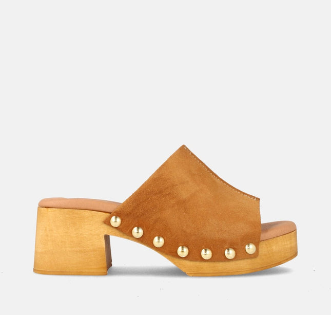 DARIA SERR. SETTER-0